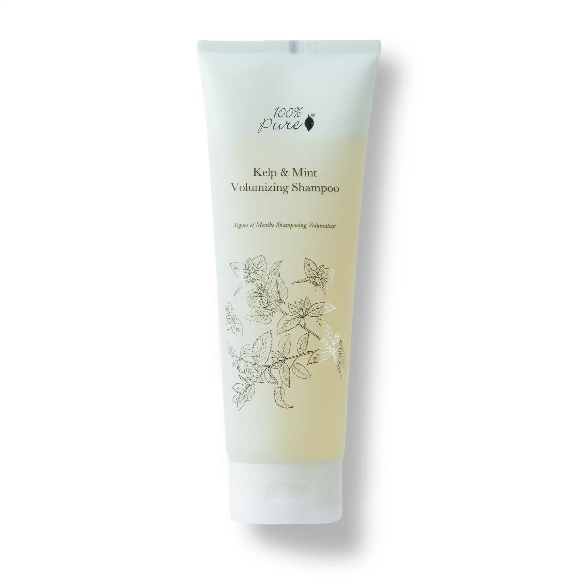 100-pure-hair-kelp-and-mint-shampooing-volumateur-13-oz image 1